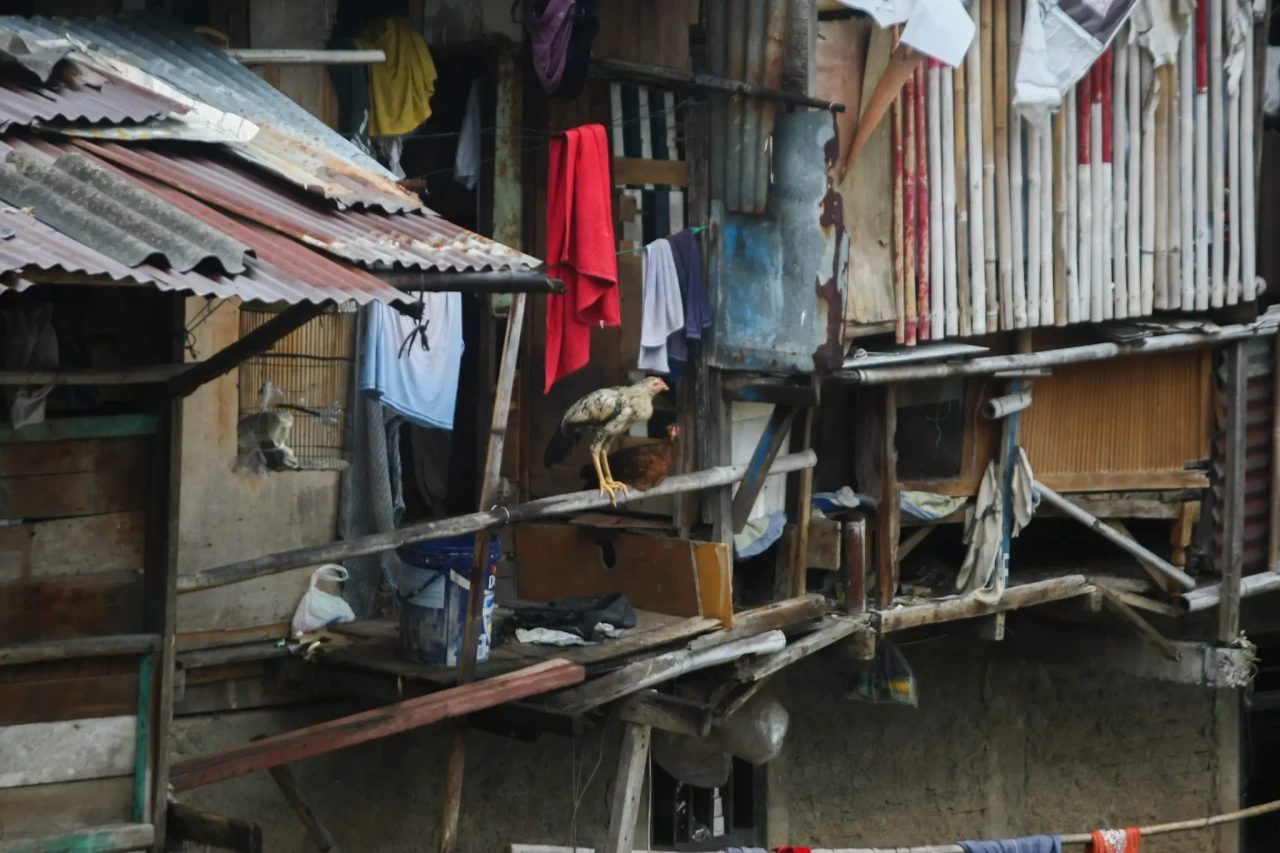 Normalisasi Kali Ciliwung,...