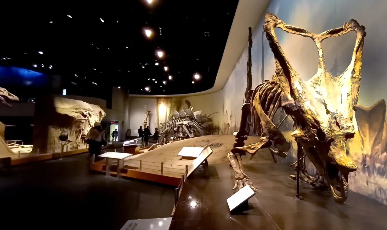 Menelusuri Jejak Dinosaurus...