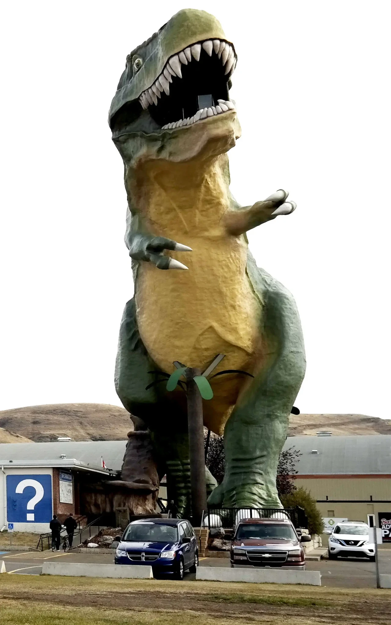 Menelusuri Jejak Dinosaurus...