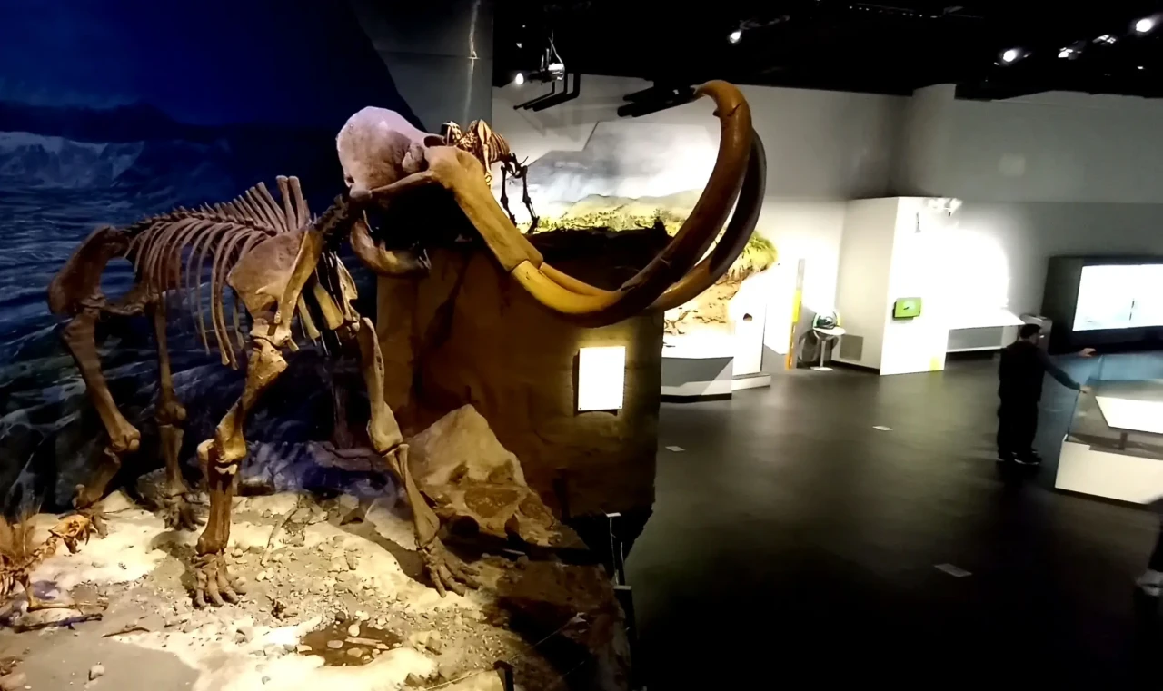Menelusuri Jejak Dinosaurus...