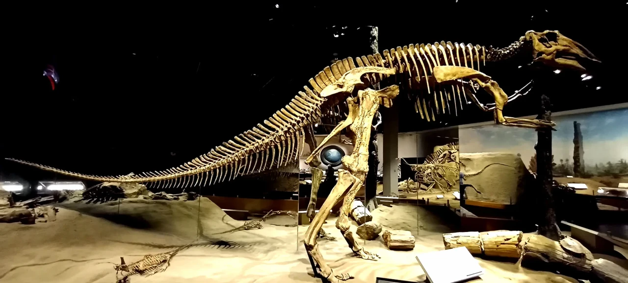 Menelusuri Jejak Dinosaurus...