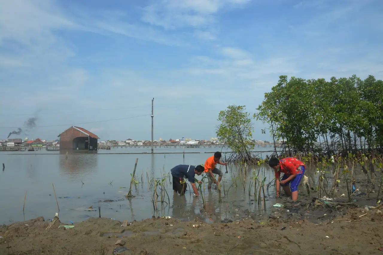 Aksi Cinta Bumi Tanam...