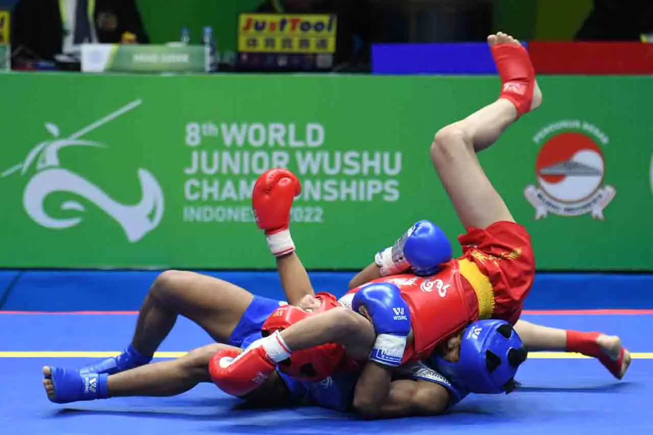 Wushu Sanda Indonesia...