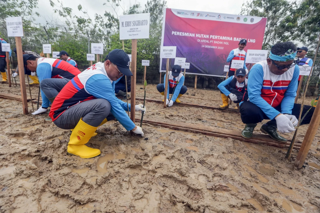 Peresmian Hutan Pertamina...