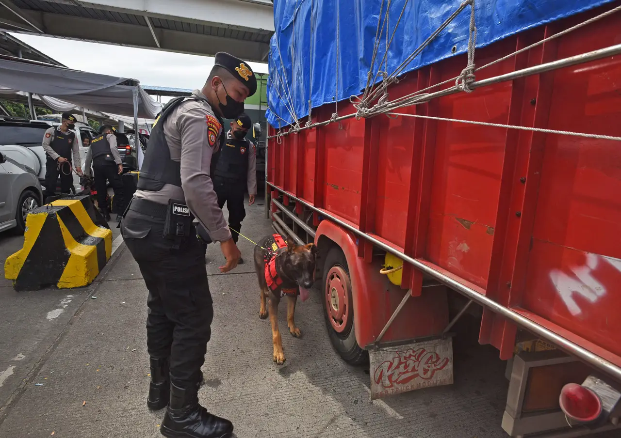 Anjing Pelacak Dikerahkan...