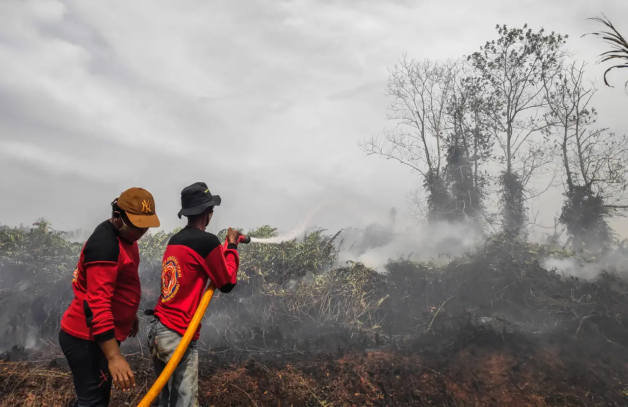 Kebakaran Hutan dan...