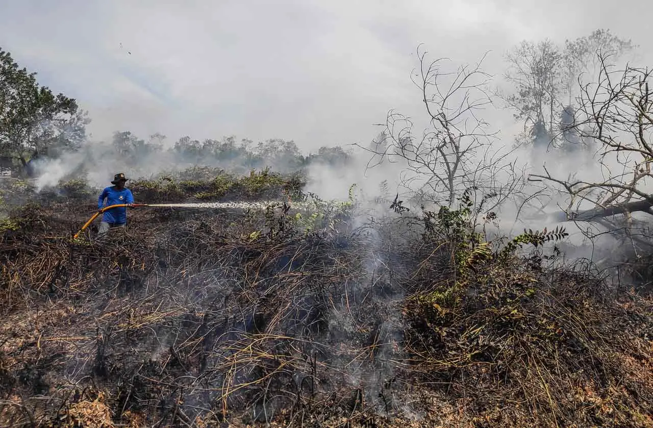 Kebakaran Hutan dan...