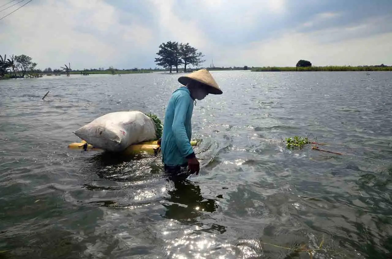 Banjir di Kudus Mulai...
