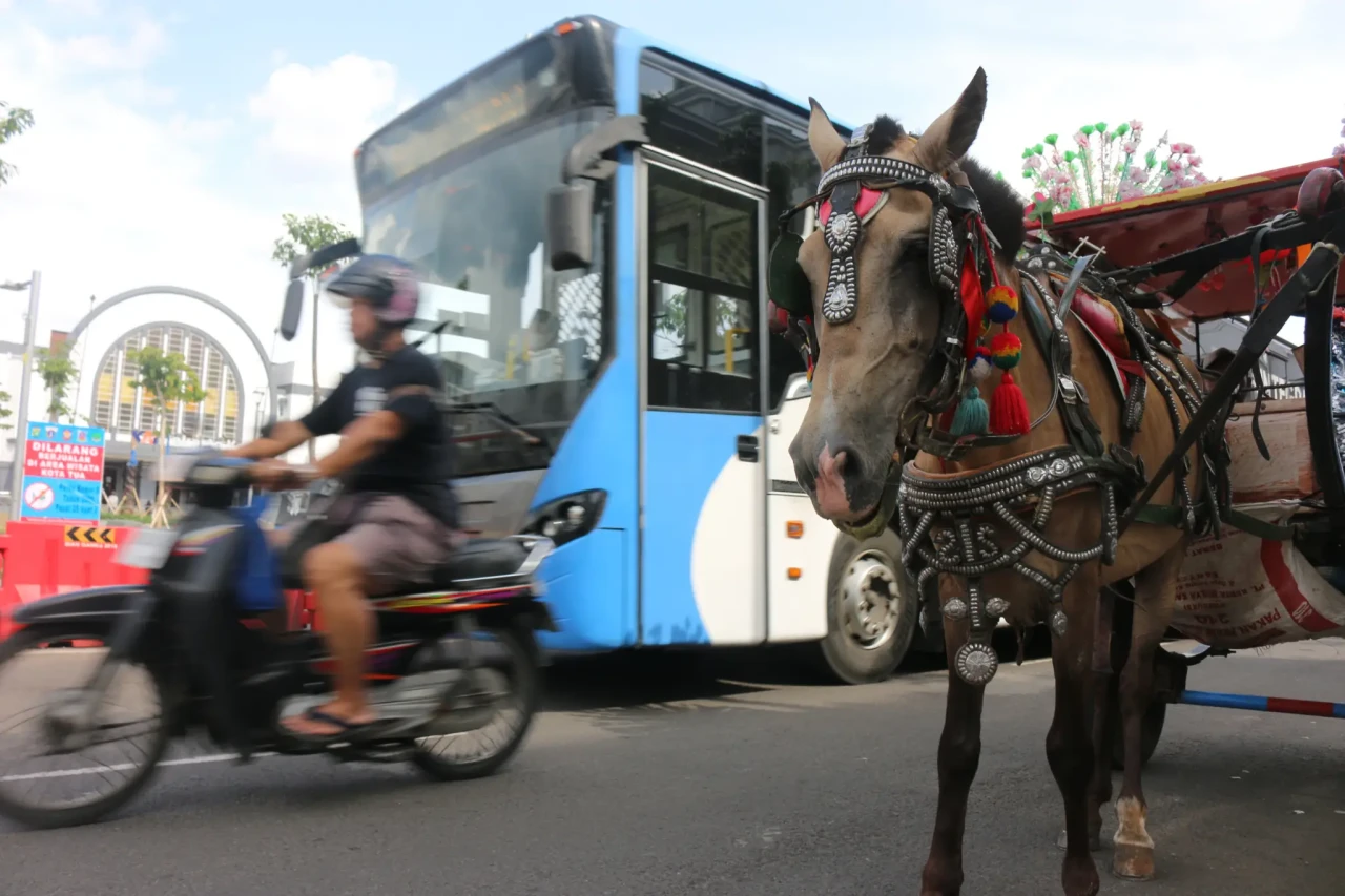Berkeliling Wisata Kota...