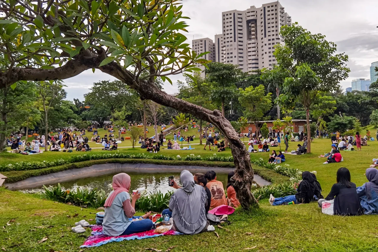 Keseruan Piknik di Hutan...