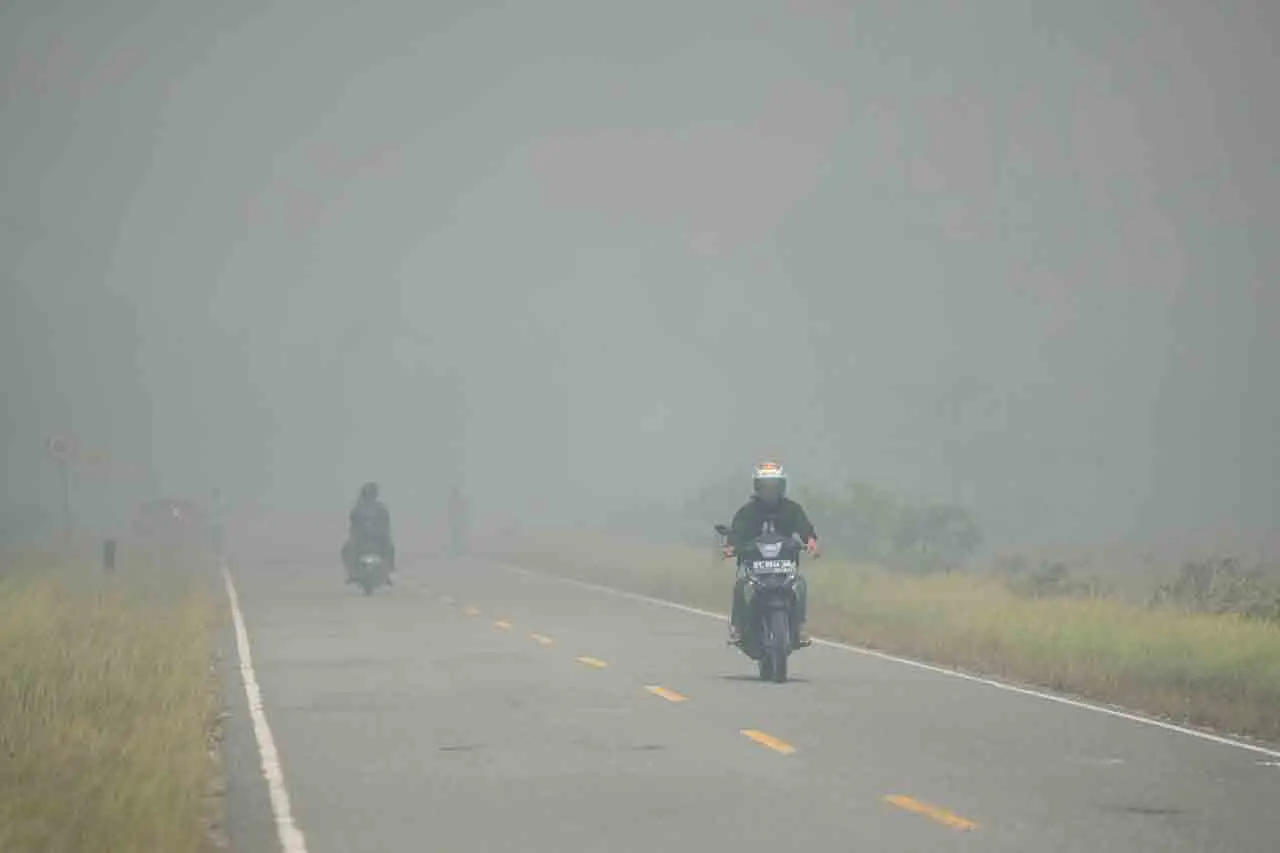 Kawasan Taman Nasional...