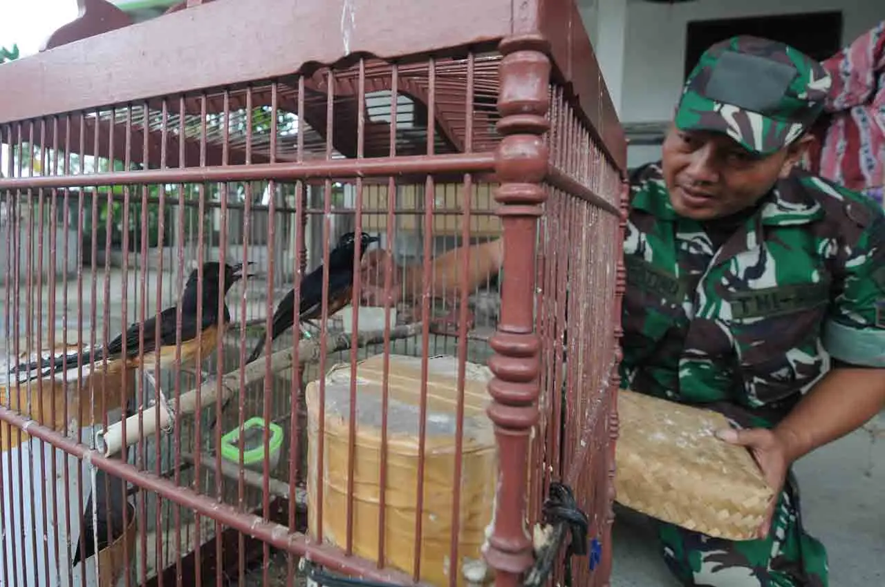 Prajuit TNI Budi Daya...