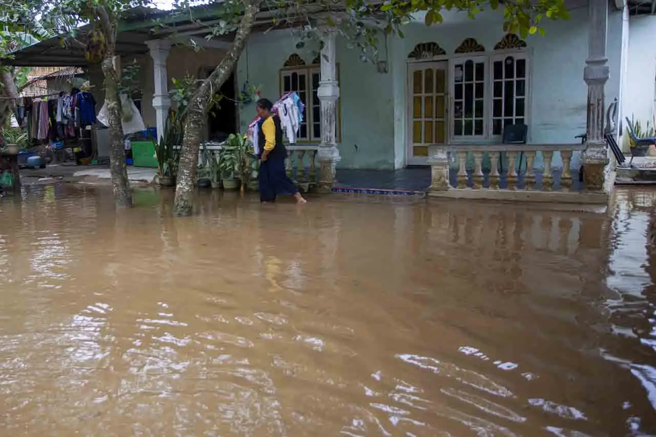 Potensi Banjir Rob di...