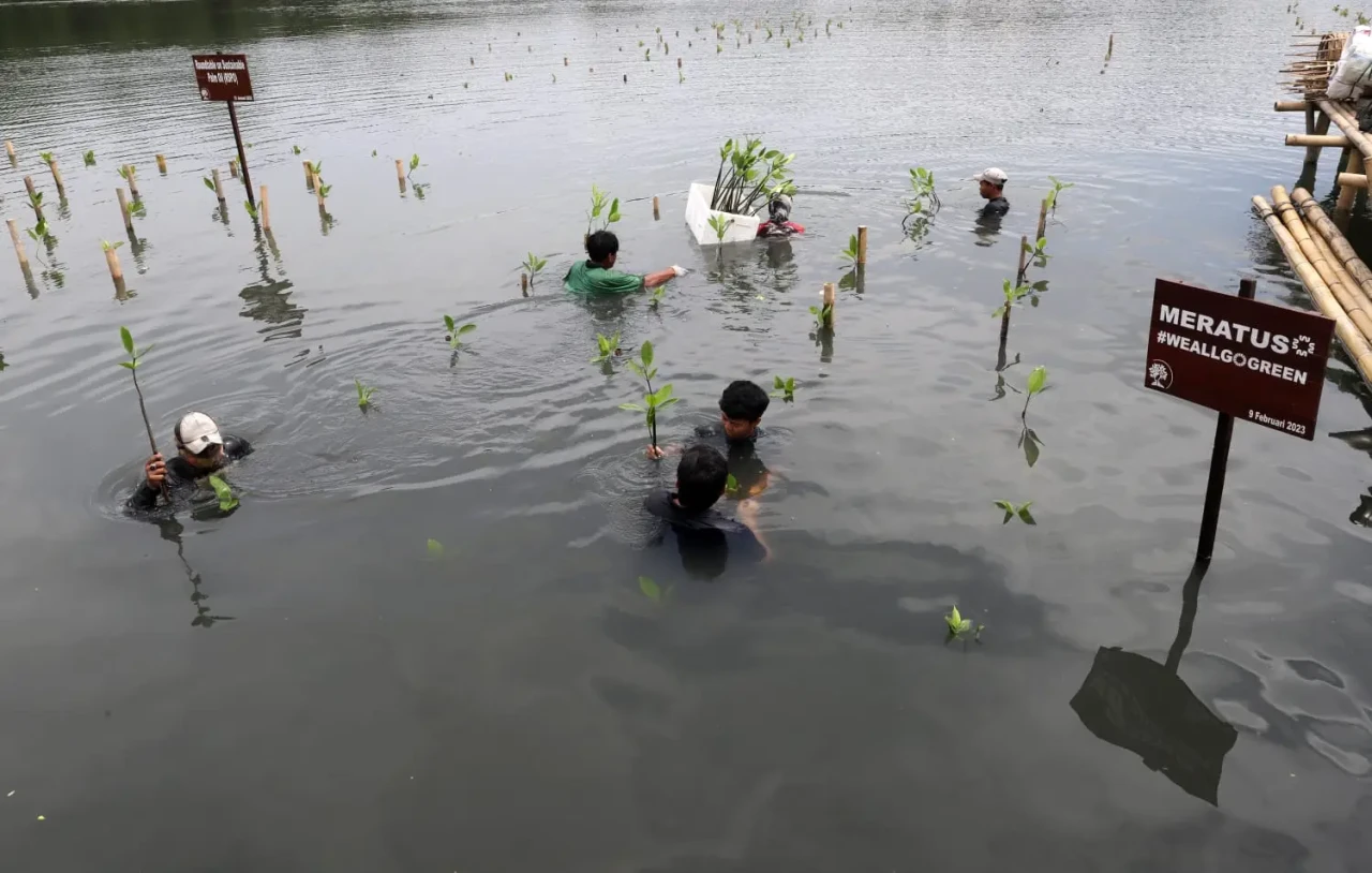 Peluncuran Layanan Meratus...