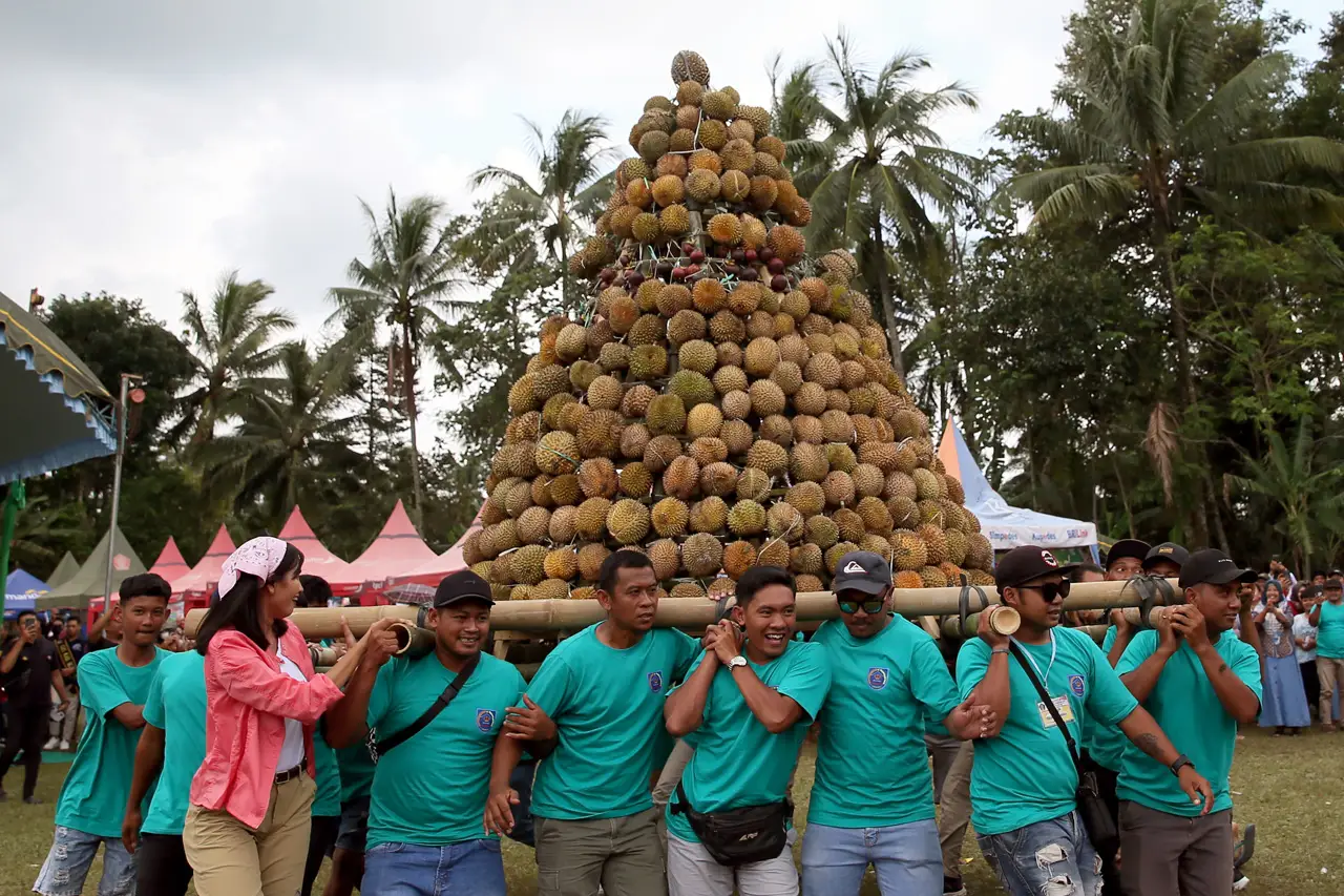 Festival Durian Sumberasri...