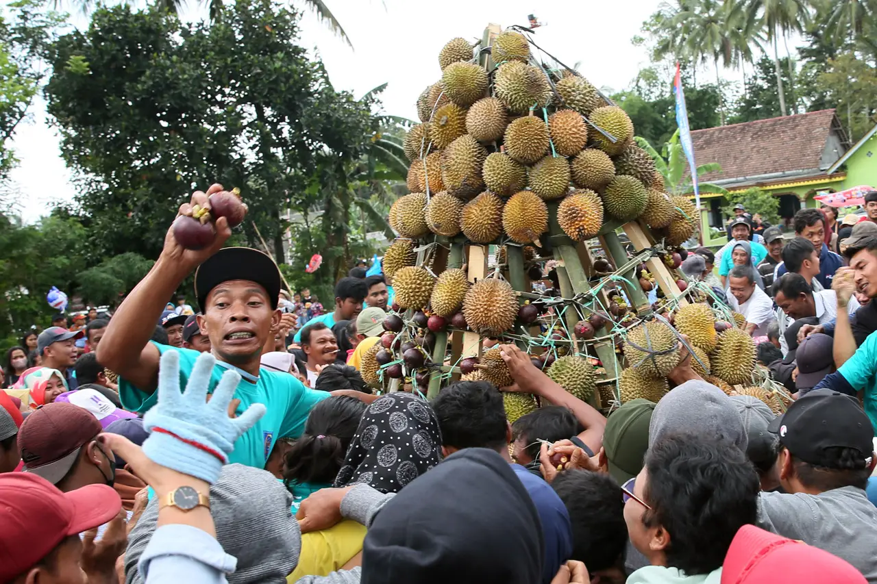 Festival Durian Sumberasri...