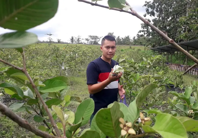 Potret Petani Milenial,...