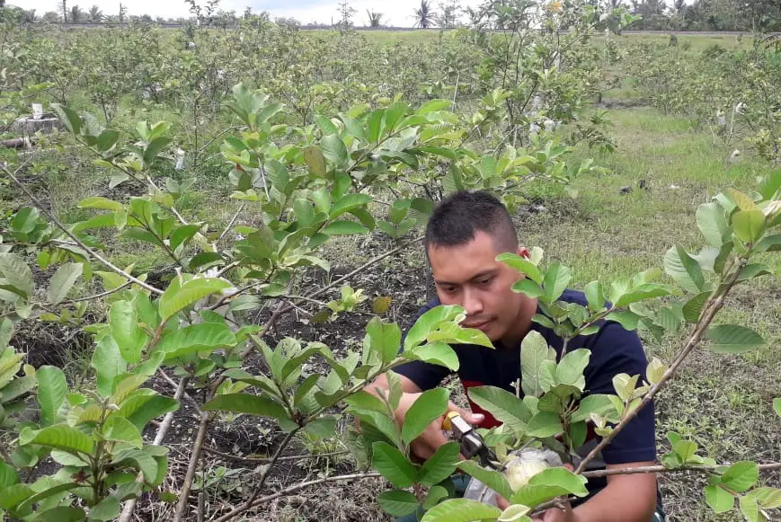 Potret Petani Milenial,...