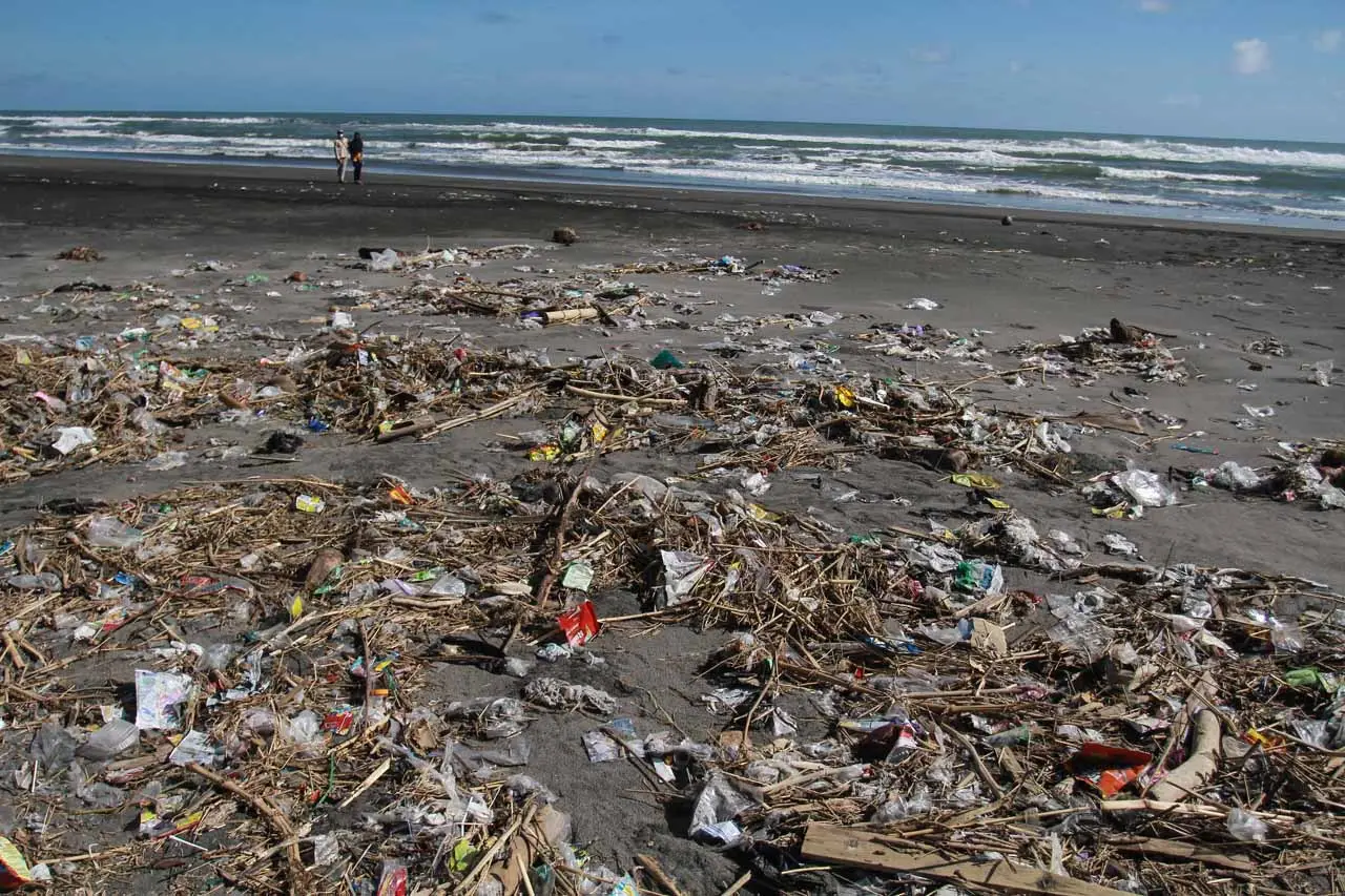 Pantai Gumuk Pasir Dipenuhi...