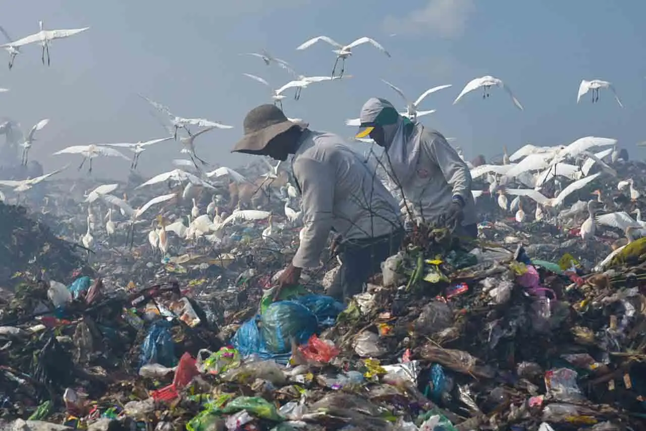 Produksi Sampah di Kota...