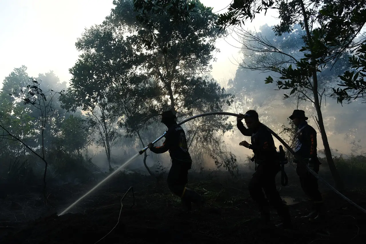 Kebakaran Lahan Gambut...