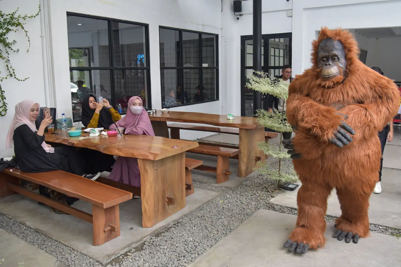 Kampanye Peduli Orangutan...