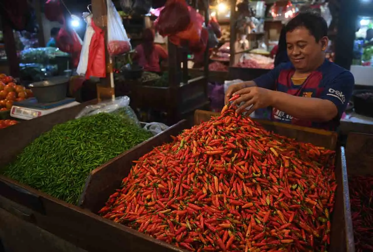 Harga Cabai Rawit Naik...