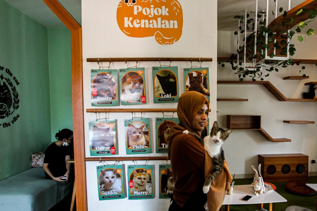 Serunya Bermain Bersama...