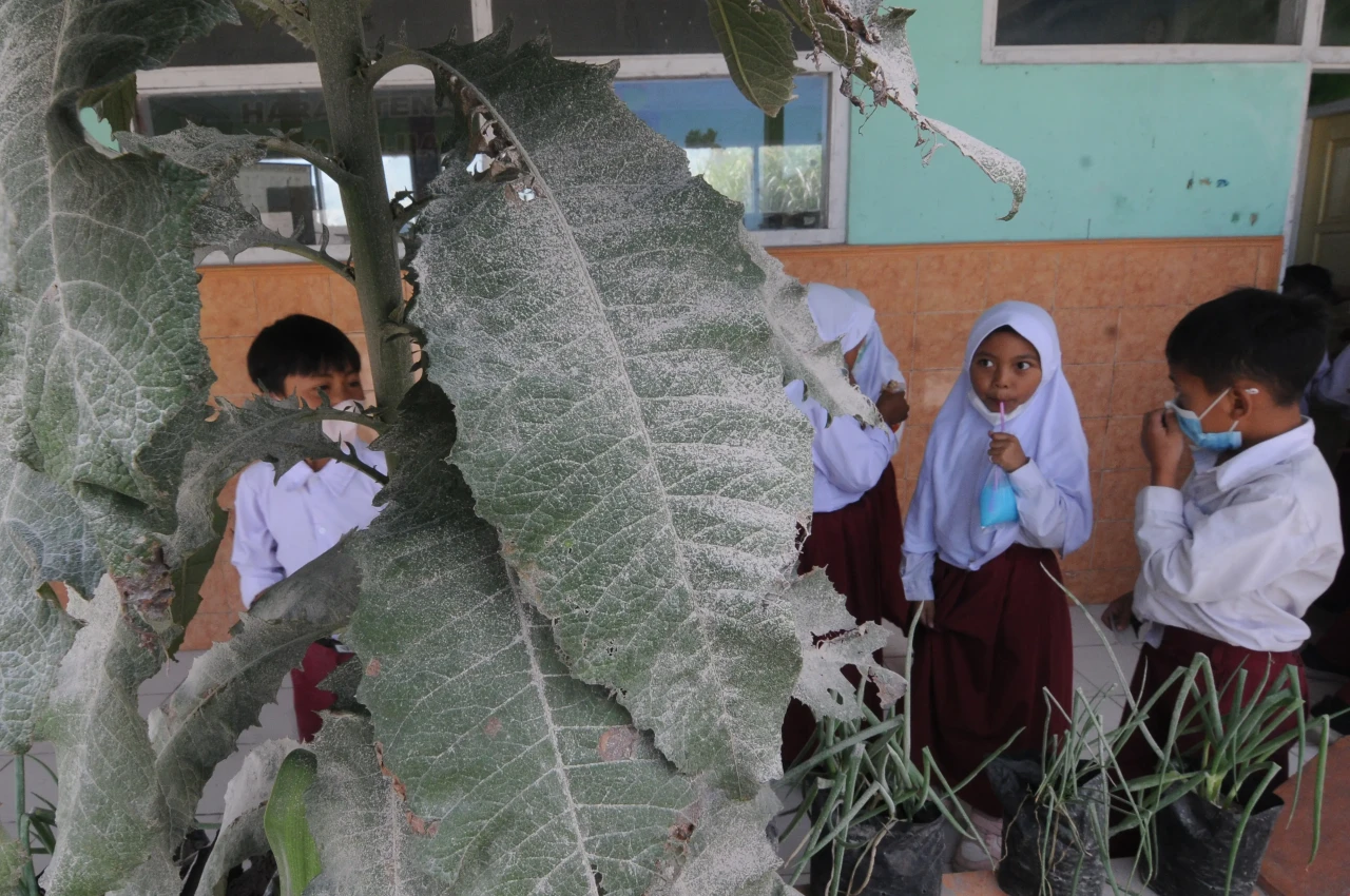Aktivitas Sekolah di...