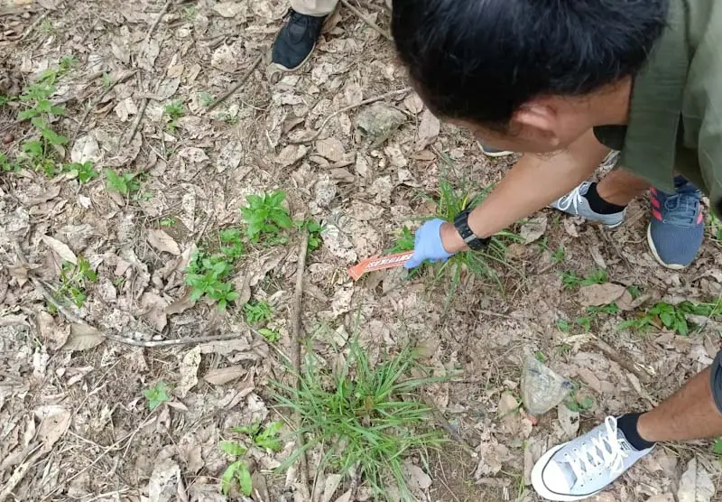 Korban Tewas Dibantai,...