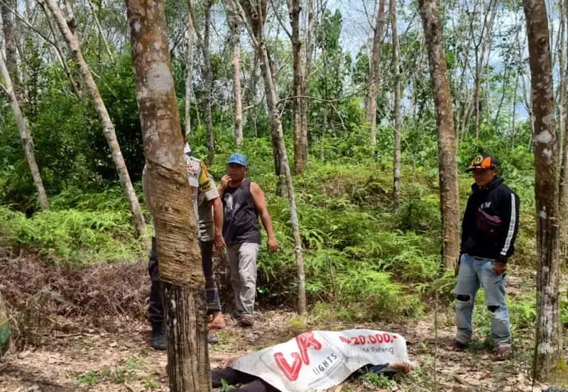 Korban Tewas Dibantai,...