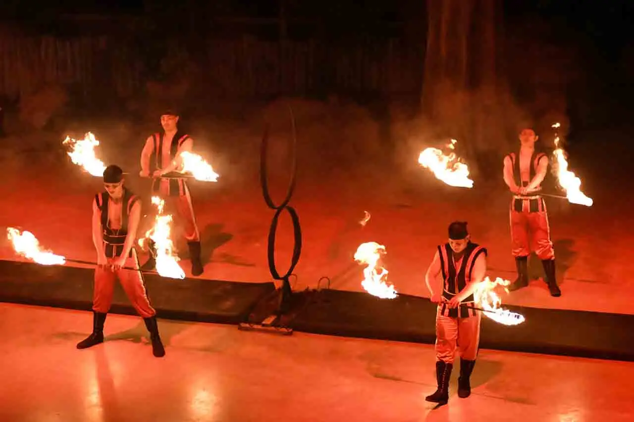 Pertunjukan Fire Dance...
