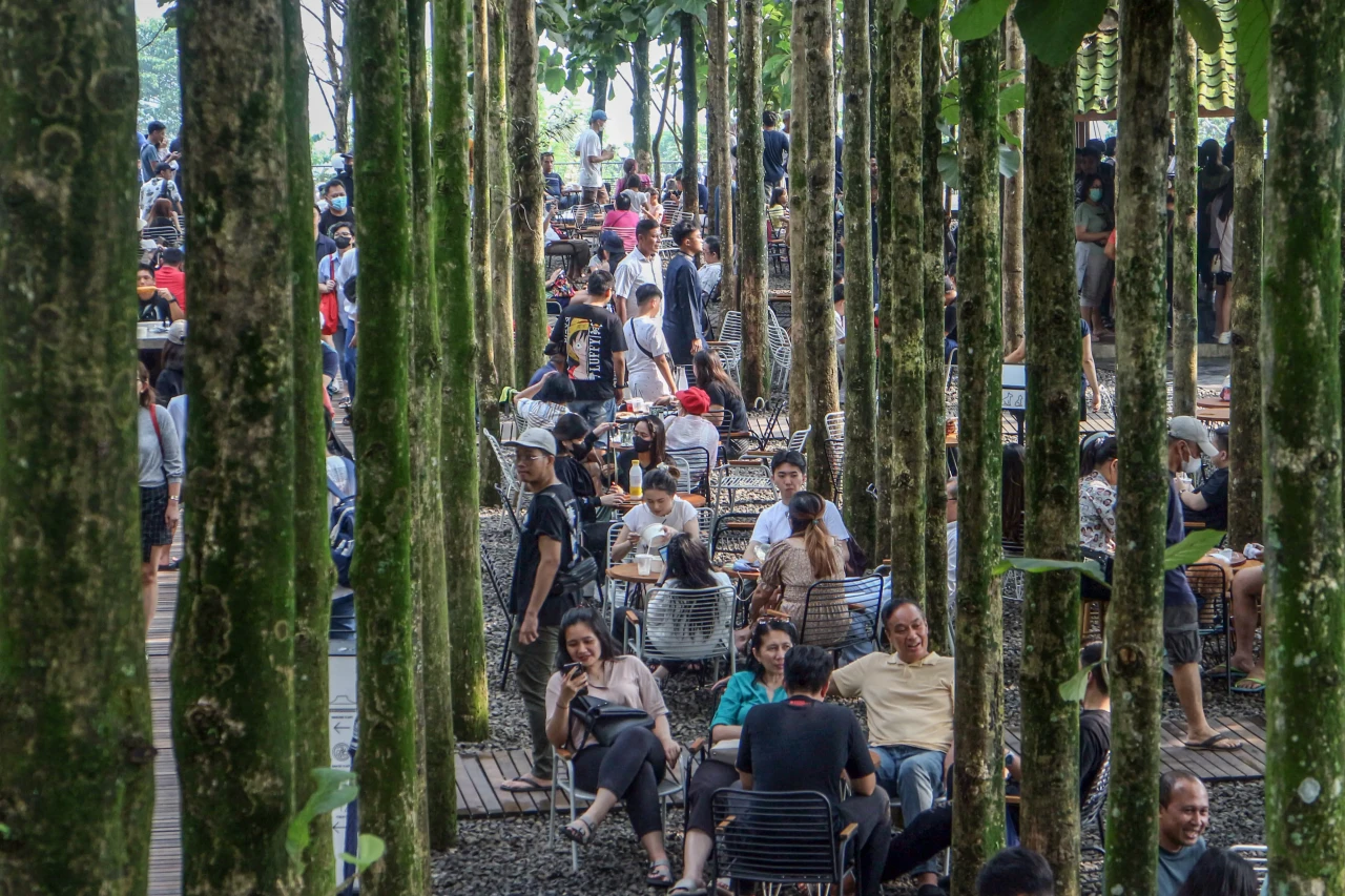 Wisata Alam Pohon Jati...