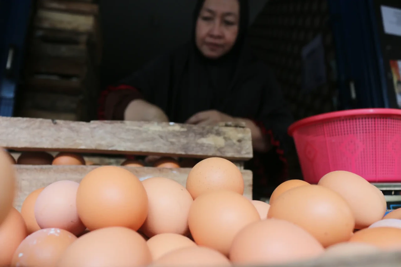 Usai Lebaran Harga Telur...