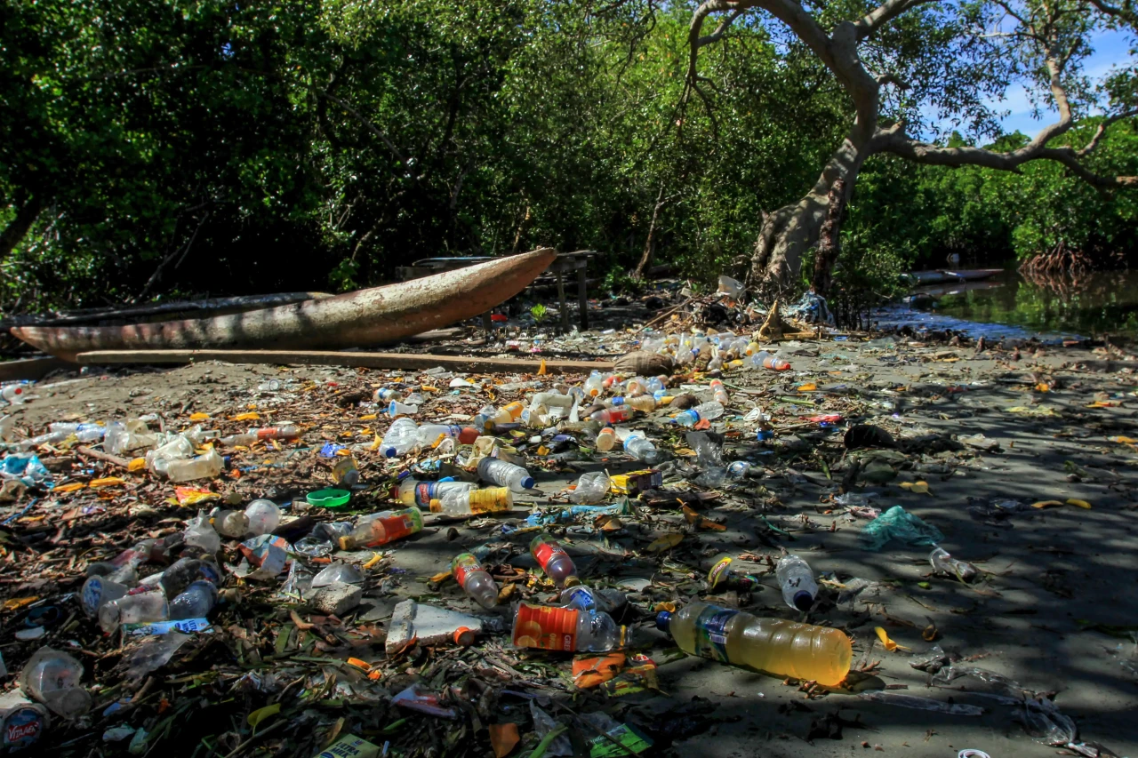Sampah Plastik Cemari...