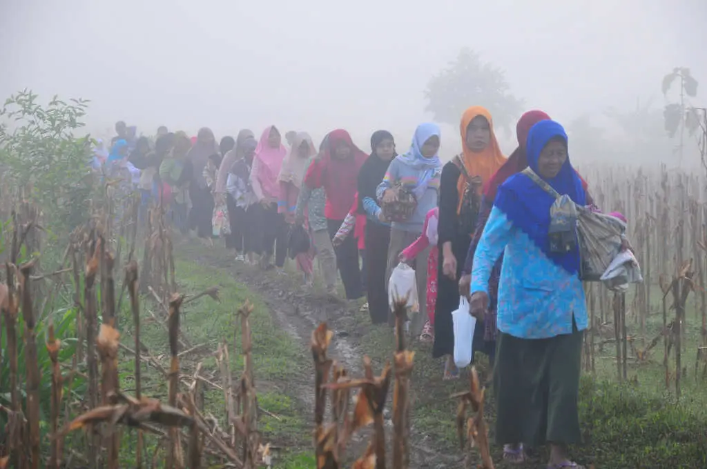 Tradisi Sedekah Bumi...