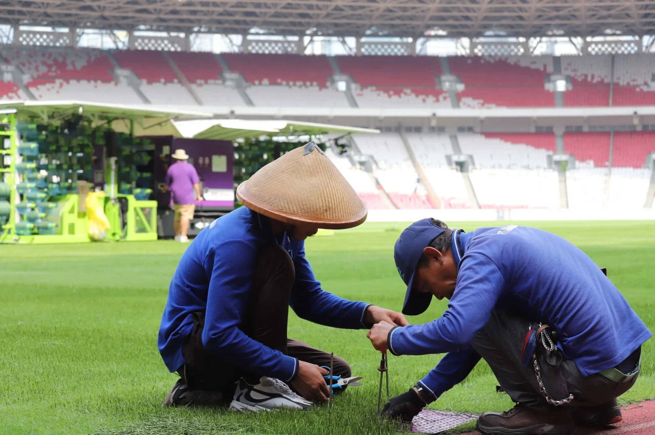 Begini Perawatan Rumput...