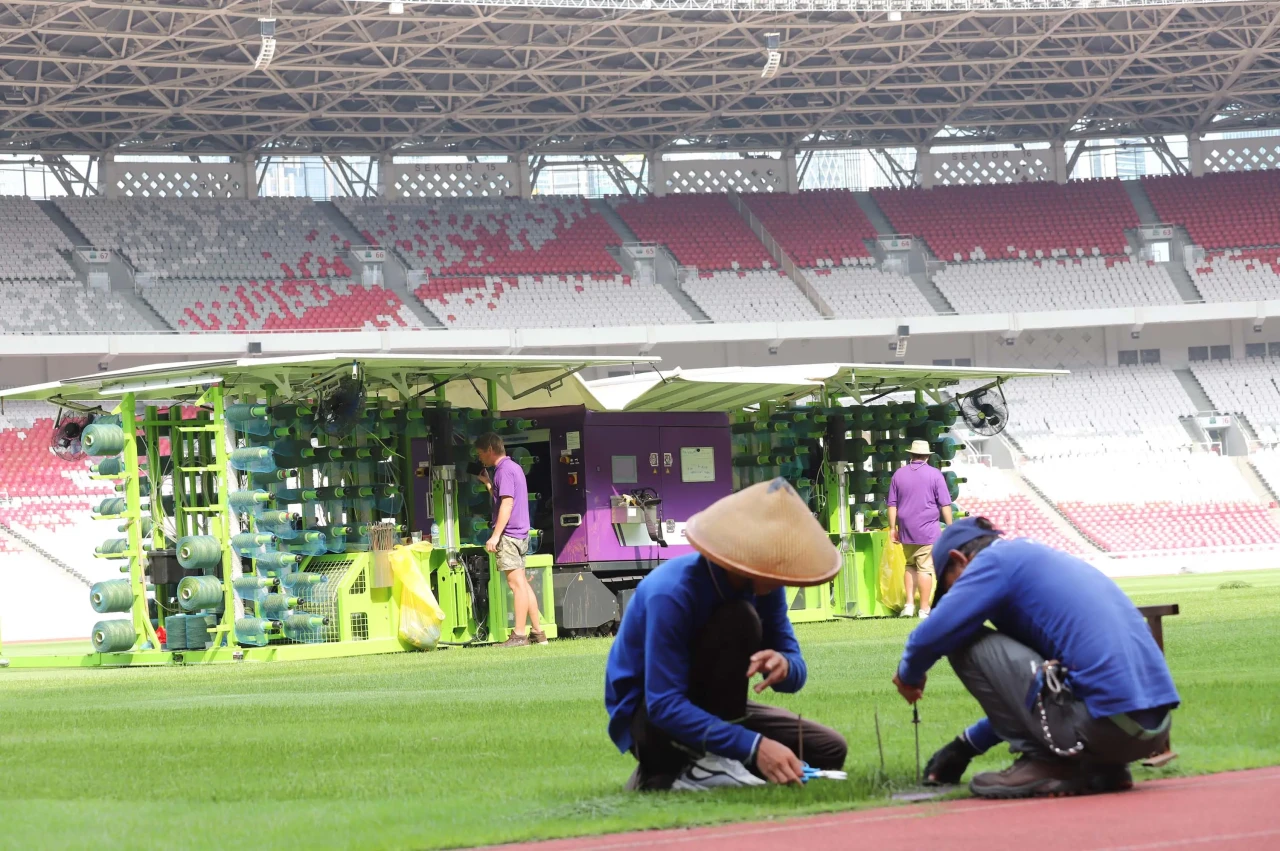 Begini Perawatan Rumput...