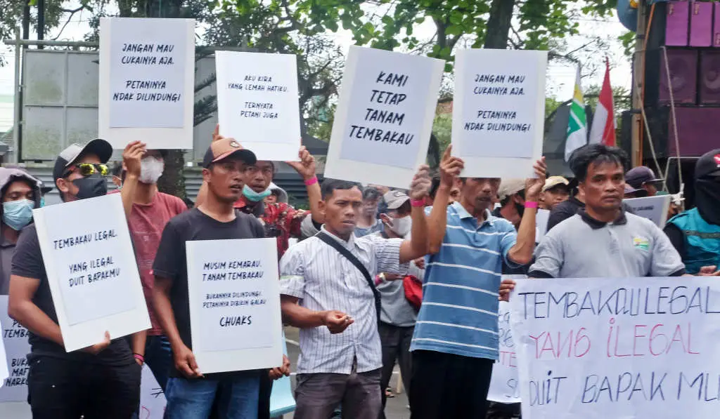 Aksi Petani Tembakau...