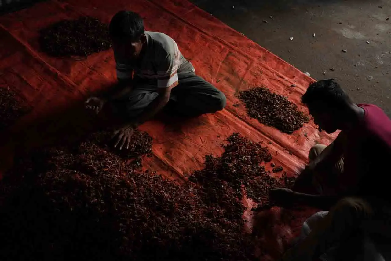 Permintaan Tinggi, Harga...