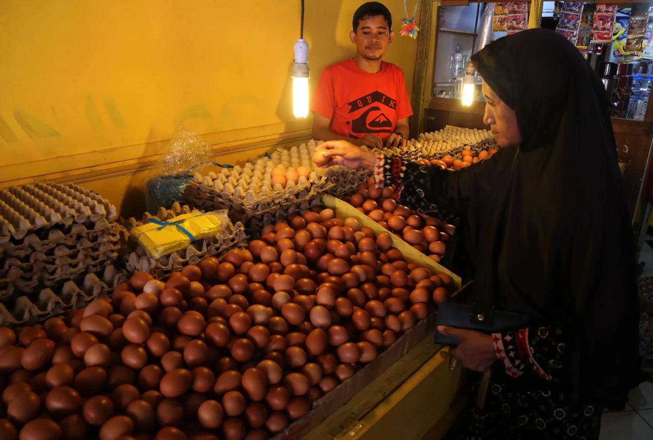 Harga Telur Ayam di...