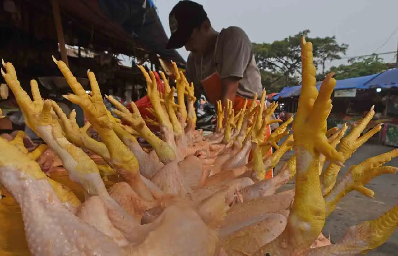 Usai Telur, Kini Harga...