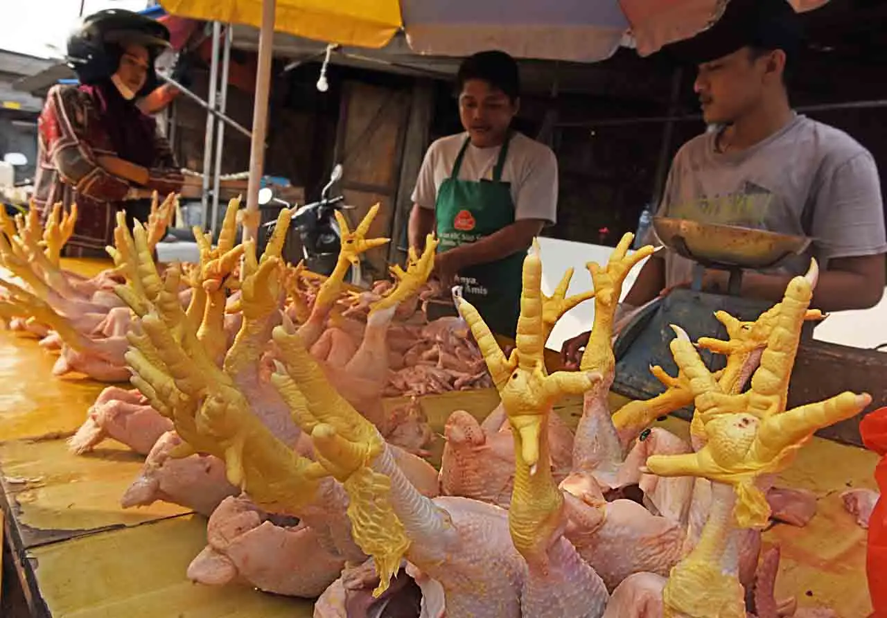 Usai Telur, Kini Harga...