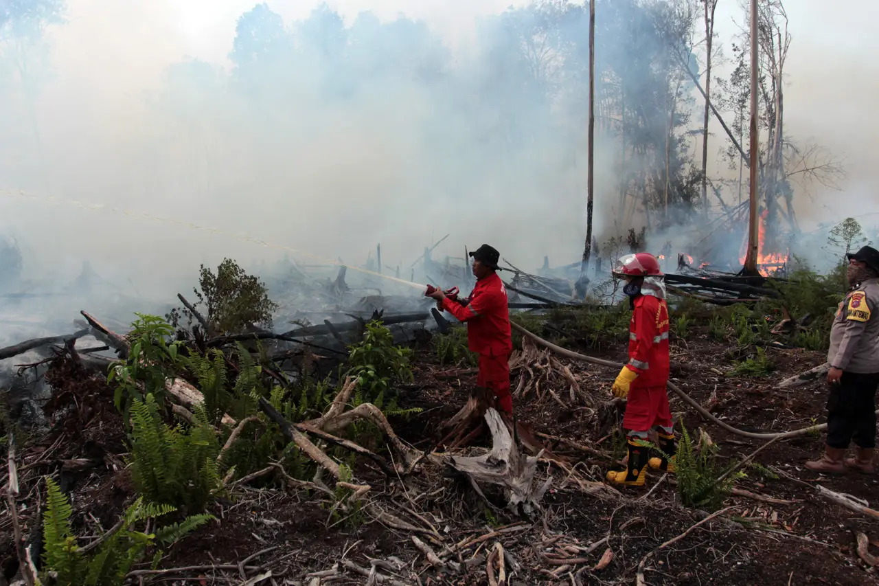Kebakaran Hutan Gambut...