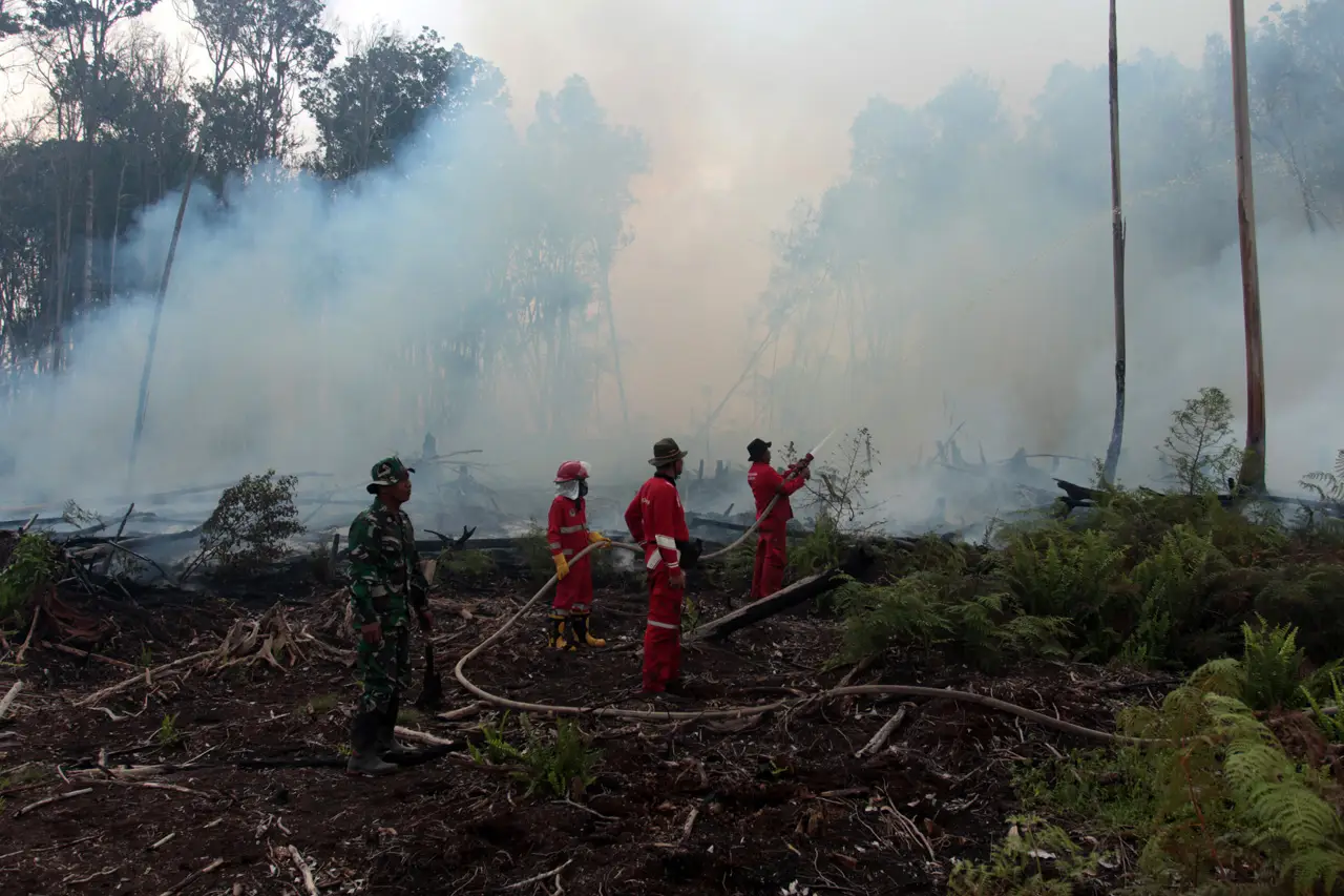 Kebakaran Hutan Gambut...