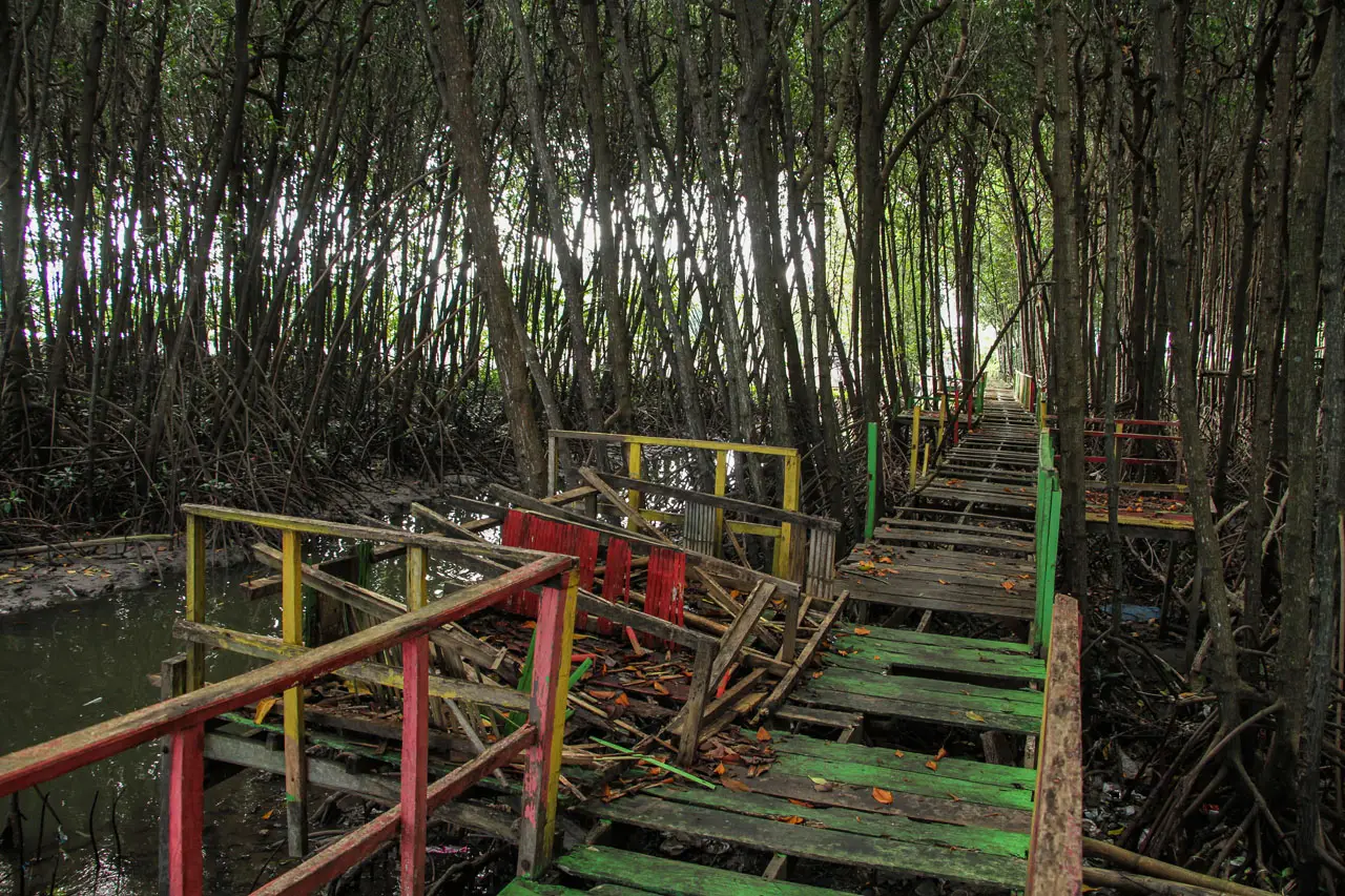Ekowisata Mangrove di...