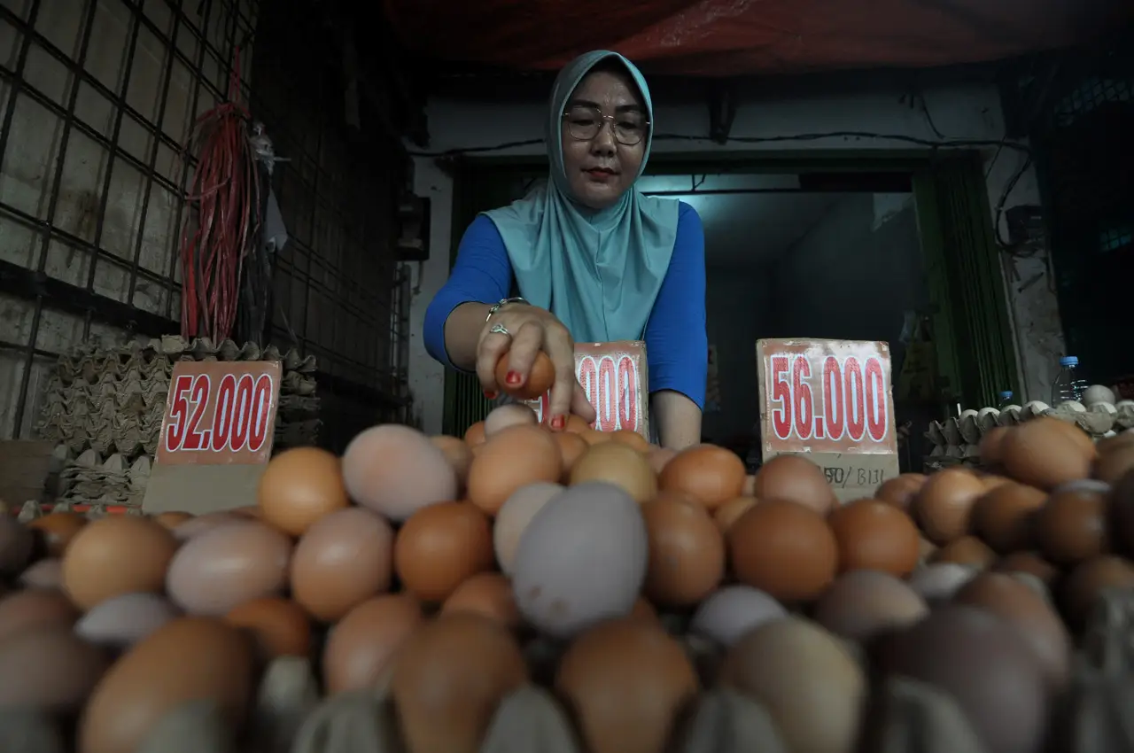 Harga Telur di Bengkulu...