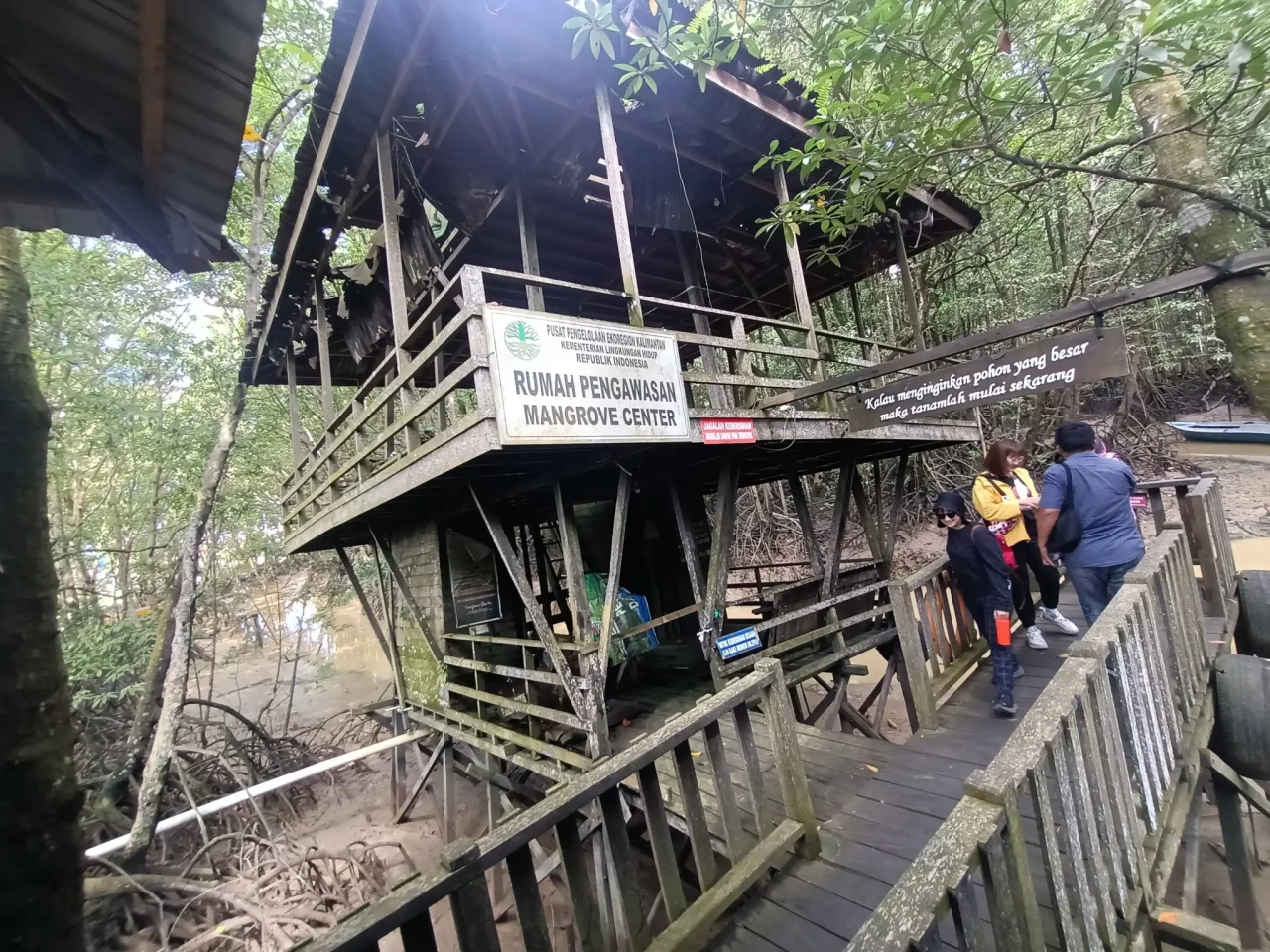 Wisata Hutan Mangrove...