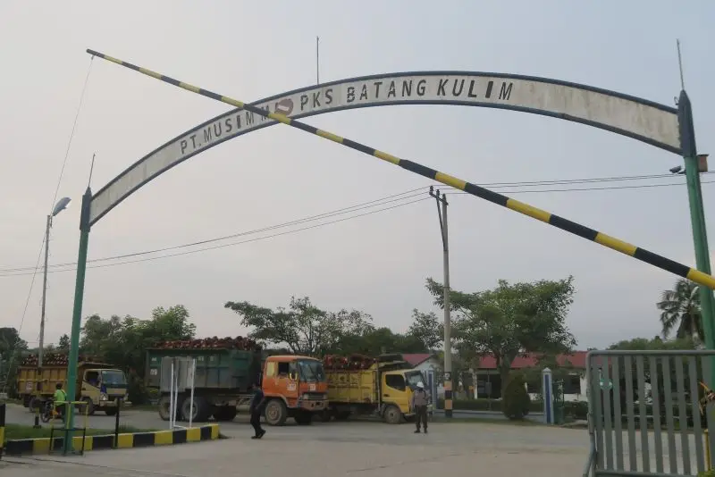 Menyambangi Perkebunan...
