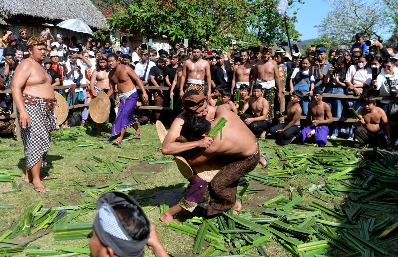 Tradisi Perang Pandan...